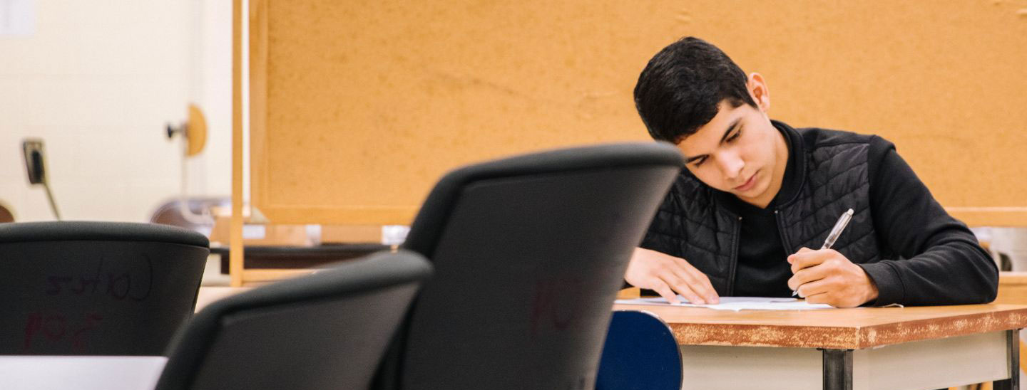 Student studying on campus