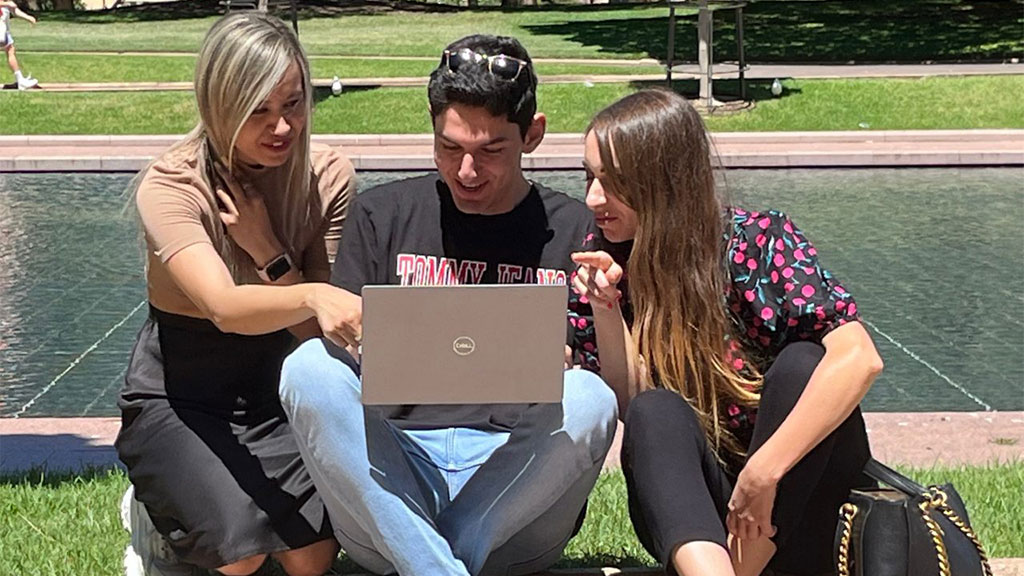 Students studying outside